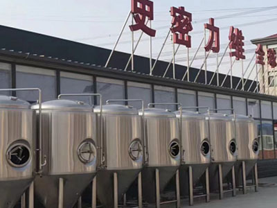 苏仙精酿啤酒设备厂—如何判断精酿啤酒设备的密封件需要更换？